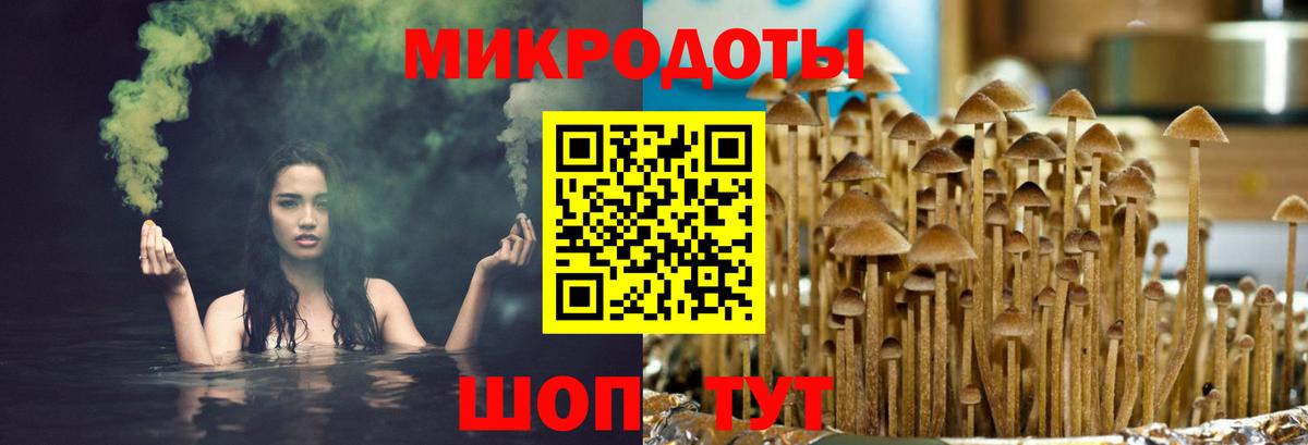 Михайловск  Галлюциногенные грибы Psilocybine cubensis  Вход с VPN 